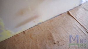 МирДез, обработка от тараканов (2020г) 25