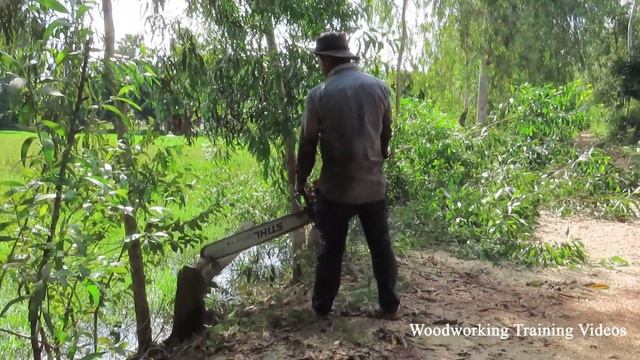 A Big Hundred Years Old Cut Down With Strong Chainsaw MS720! Tree Felling In The Forest смотреть онлайн