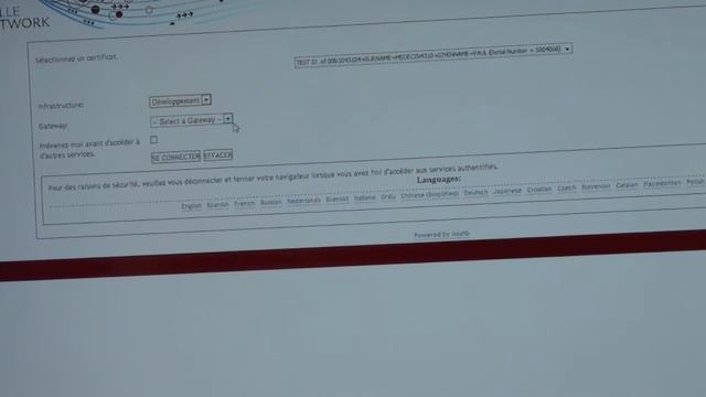 GINSENG demo by Lydia Maigne смотреть онлайн