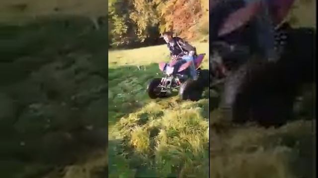 Bashan 250cc drift смотреть онлайн