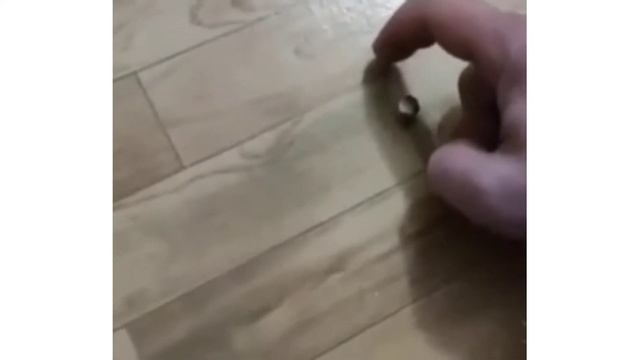 Что делать если скрипит пол. Лайфхак☝️ смотреть онлайн