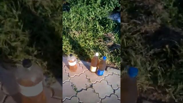 Димексид в мотике ! Обработка.(1) смотреть онлайн