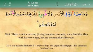 Juz 7 | Quran | Sheikh Mishary Rashid Al-Afasy | Arabic English Translation | Para 7 قرآن