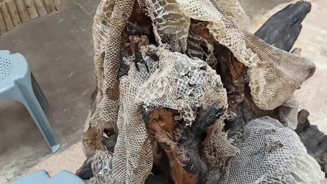 Фауна Израиля. ЖУКИ, ПАУКИ, И ОТКУДА ПИСАЕТ ЗМЕЯ смотреть онлайн