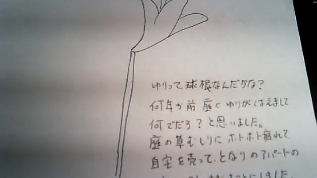 白い色は恋人の色〔和胡弓をミニ三味線にアレンジ〕〔北山修作詞　加藤和彦作曲〕 смотреть онлайн