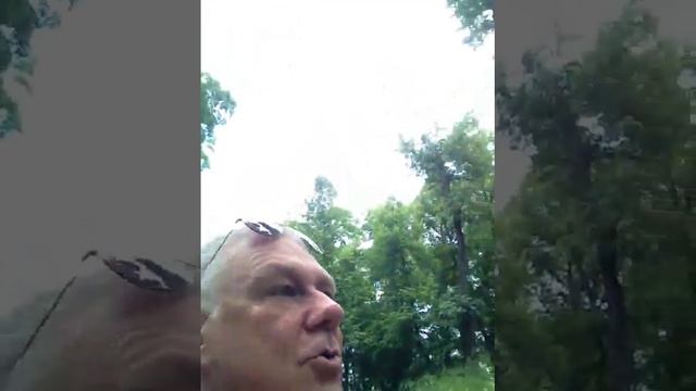 И лепет фонтана, и чьи то стихи смотреть онлайн