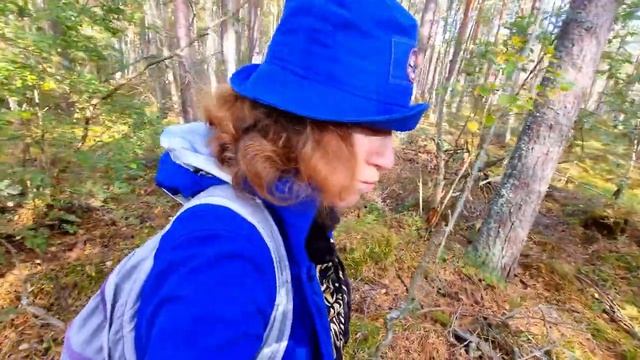 ТИХАЯ ОХОТА\МЫ ПРОСТО В ШОКЕ\ЗАКРЫТИЕ СЕЗОНА #грибы #тихаяохота #грибы2023 смотреть онлайн