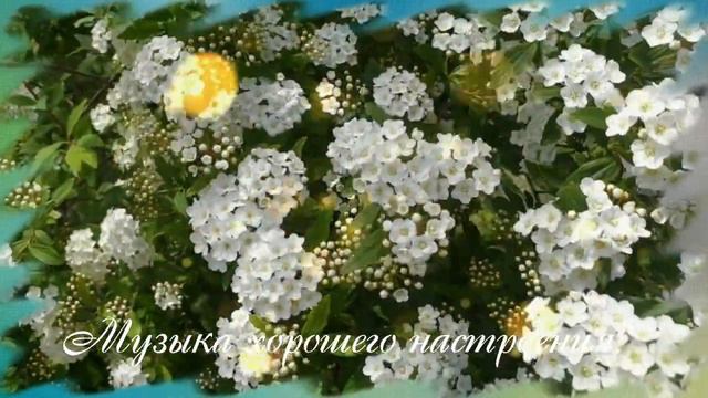 Приятного вечера! Музыкальный позитив для настроения!