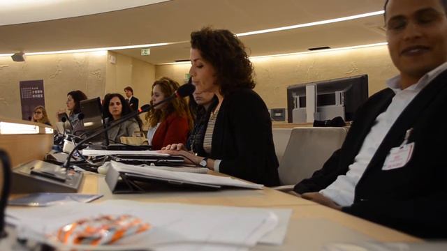 Maggie Murphy addresses the Forum on Minority Issues смотреть онлайн