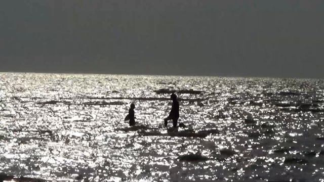 Первый раз в этом году в море заходить не хочет. Ейск. смотреть онлайн