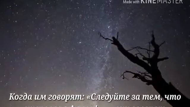 Коран для души смотреть онлайн