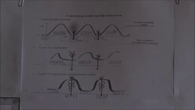 Эффективность внедрения широкобороздной технологии выращивания картофеля на богарных землях Саратов смотреть онлайн