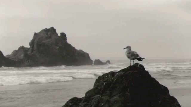 Wisp-Across the Pale Sea смотреть онлайн