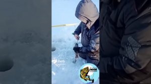 Клёвая рыбалка в Лёдово