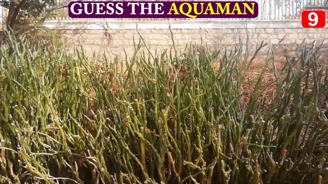 Guess The All Hidden ANIMALS World Riddles US Puzzles IQ Test Brain Teasers Find Hidden Animals IQ смотреть онлайн