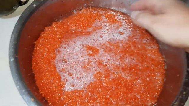 Как правильно солить красную икру. Красная икра. Chum salmon caviar смотреть онлайн