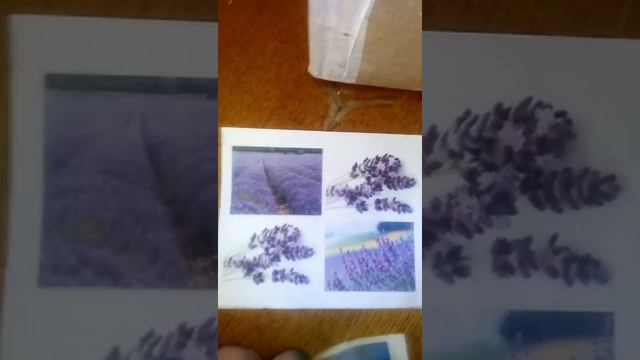 Посылка от Лаборатории модных увлечений смотреть онлайн