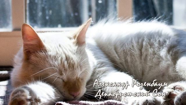 Александр Розенбаум - Декабристский Сон смотреть онлайн