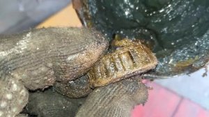 Suzuki jimny замена шкворней??