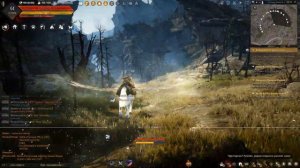 Полёт Пегаса (BDO)