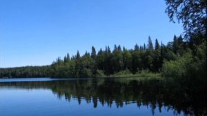 Чтение Корана Мухаммад Аюб сура Ар Рахман