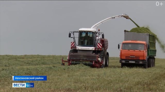 Уборка 2020. Кормоуборочный комбайн RSM F 2550 на Донских полях смотреть онлайн