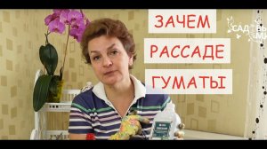 ЧТО ТАКОЕ ГУМИНОВЫЕ УДОБРЕНИЯ. ЗАЧЕМ  КОРМИТЬ РАССАДУ ГУМАТАМИ