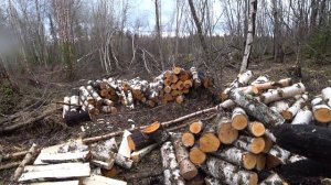САМАЯ ТЯЖЁЛАЯ РАБОТА В ДЕРЕВНЕ / ЗАГОТОВКА ДРОВ В ТАЙГЕ / КОЛЮ И СКЛАДЫВАЮ В КОСТЁР ДРОВА. ДЕЛЯНКА.