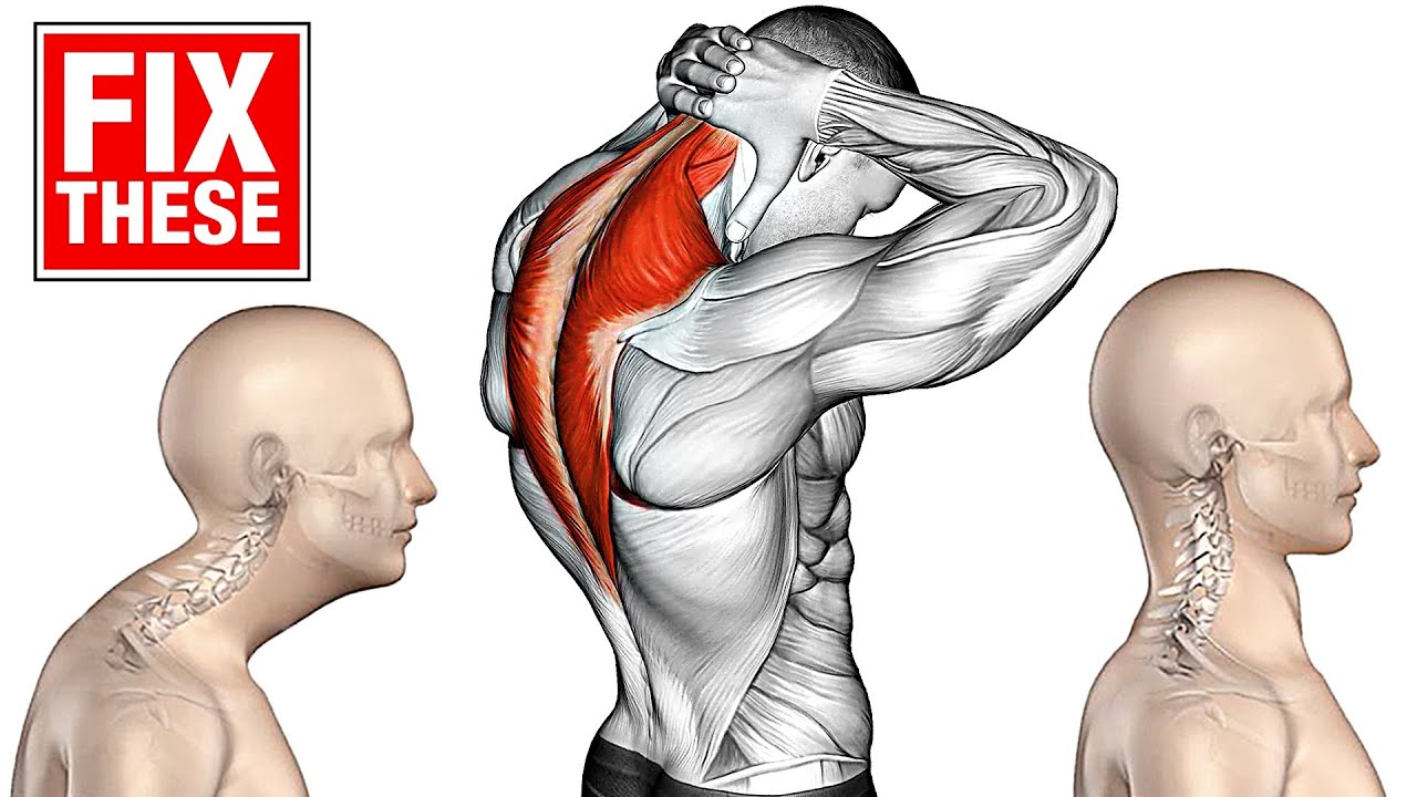 Упражнения для Улучшения Осанки смотреть онлайн