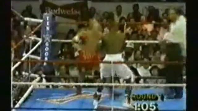 Terry Norris-Brett Lally highlights boxing video смотреть онлайн