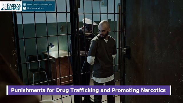 Drug Trafficking and its Penalties in the UAE смотреть онлайн