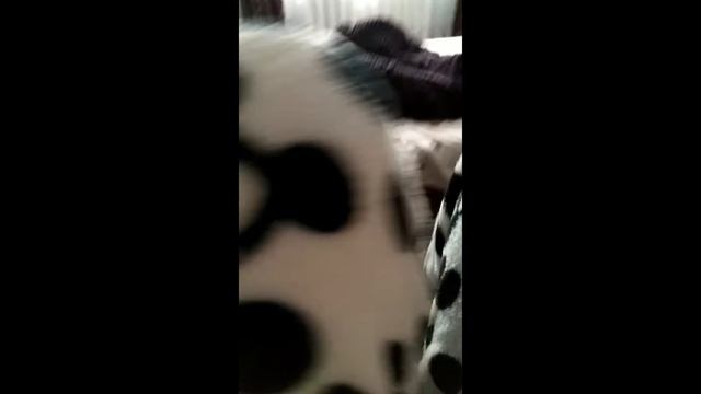 Переделка телефона смотреть онлайн