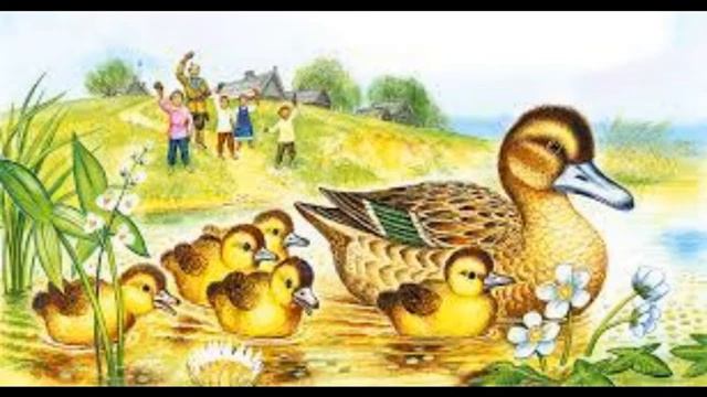 Ребята и утята - Михаил Пришвин - Аудио рассказ смотреть онлайн