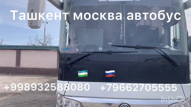 Ташкент Москва автобус