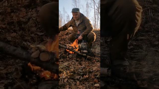 Осень, лес, сосиски на костре смотреть онлайн