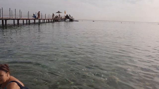 Sharming inn 4*,обзор пляжа Palma beach и побережья смотреть онлайн