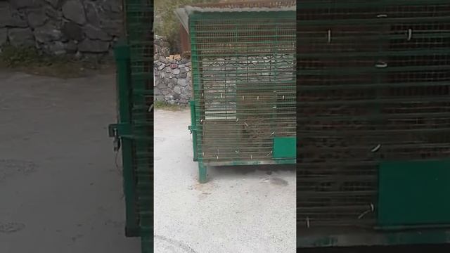 наши достопримечательности Северного Кавказа смотреть онлайн