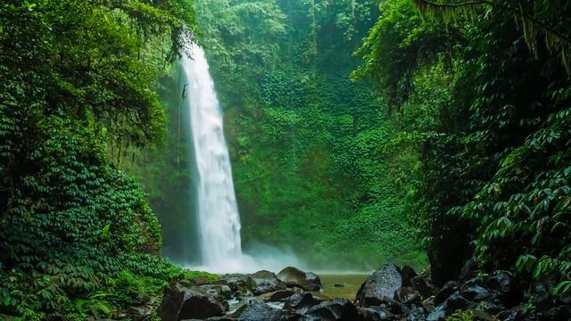 Relaxing Jungle Waterfall. Soothing Nature Sounds. (10 hours). White noise for sleeping. смотреть онлайн
