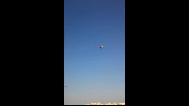 Kite operating. Запуск воздушного змея смотреть онлайн