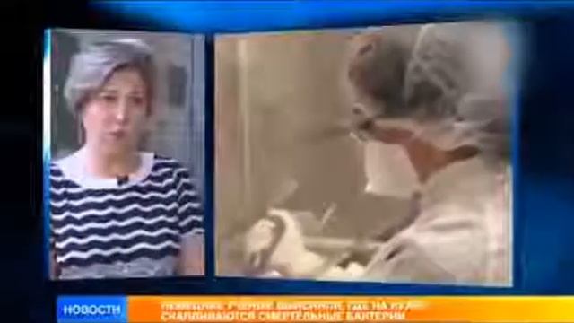 Вся правда про кухонную губку смотреть онлайн