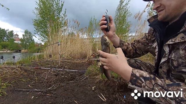 РЫБАЛКА НА ЛЕЩА НА ФИДЕР С ДЯДЕЙ ФËДОРОМ.подписываемся🔔 ставим👍 смотреть онлайн