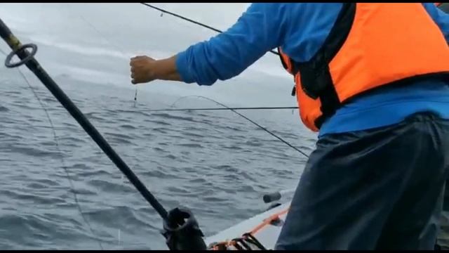МОРСКАЯ ЩУКА / 80 КГ РЫБЫ В ЛОДКЕ / ОТПУСТИЛИ НЕ МЕНЕЕ / FISHING IN IRELAND. смотреть онлайн