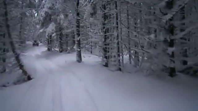 На квадро смотреть онлайн