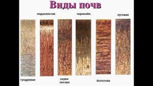 Окружающий мир 4 класс ч.1, тема урока "Земля кормилица", с.160-163, программа Школа России.