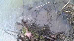 Спуск нашего пруда весною,[DF]