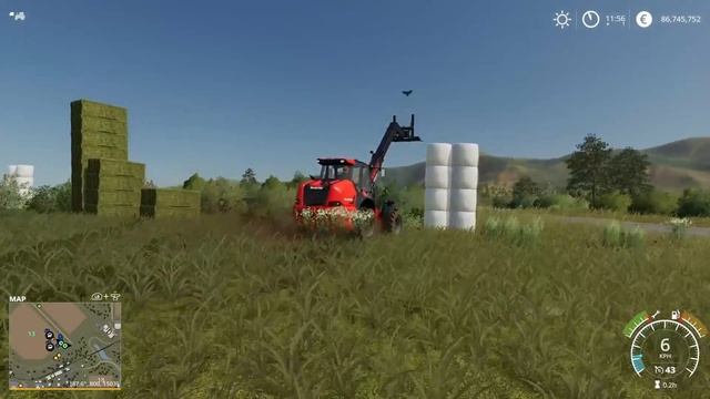 The difference between Cows and Brahman | Farming Simulator '19 смотреть онлайн