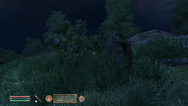 Прохождение The Elder Scrolls 4: Oblivion - Часть 52. Мискарканд (Сюжет) смотреть онлайн