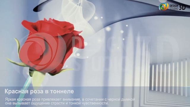 3D Фотообои "Красная роза в тоннеле" смотреть онлайн