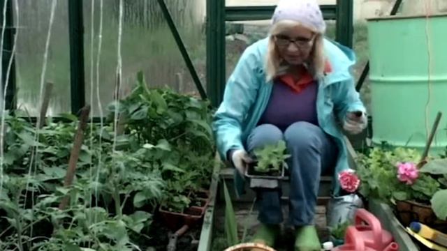 Актябрина про садовое цветоводство смотреть онлайн
