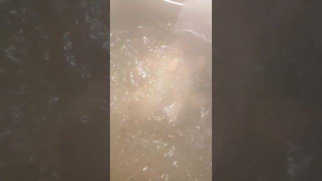 Вареные креветки с пакетиком специй от Специи с акцентом M&G